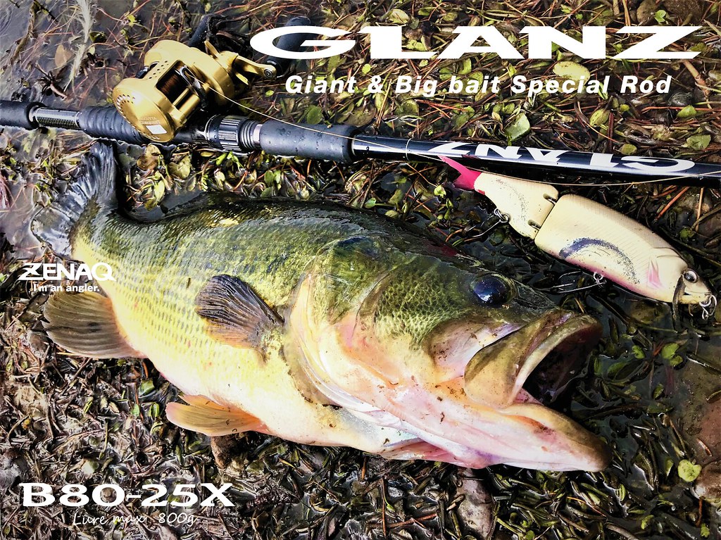 ゼナック グランツ 80-25X 【公式通販】