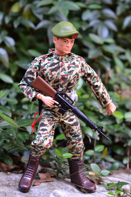 Green Beret | This is a Timeless Collection GI Joe set-up as… | Flickr