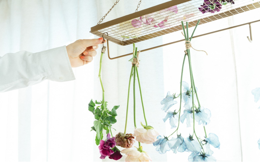 FELISSIMO × RIN「フラワーハンガーラック」販売 - 株式会社RIN | ロス