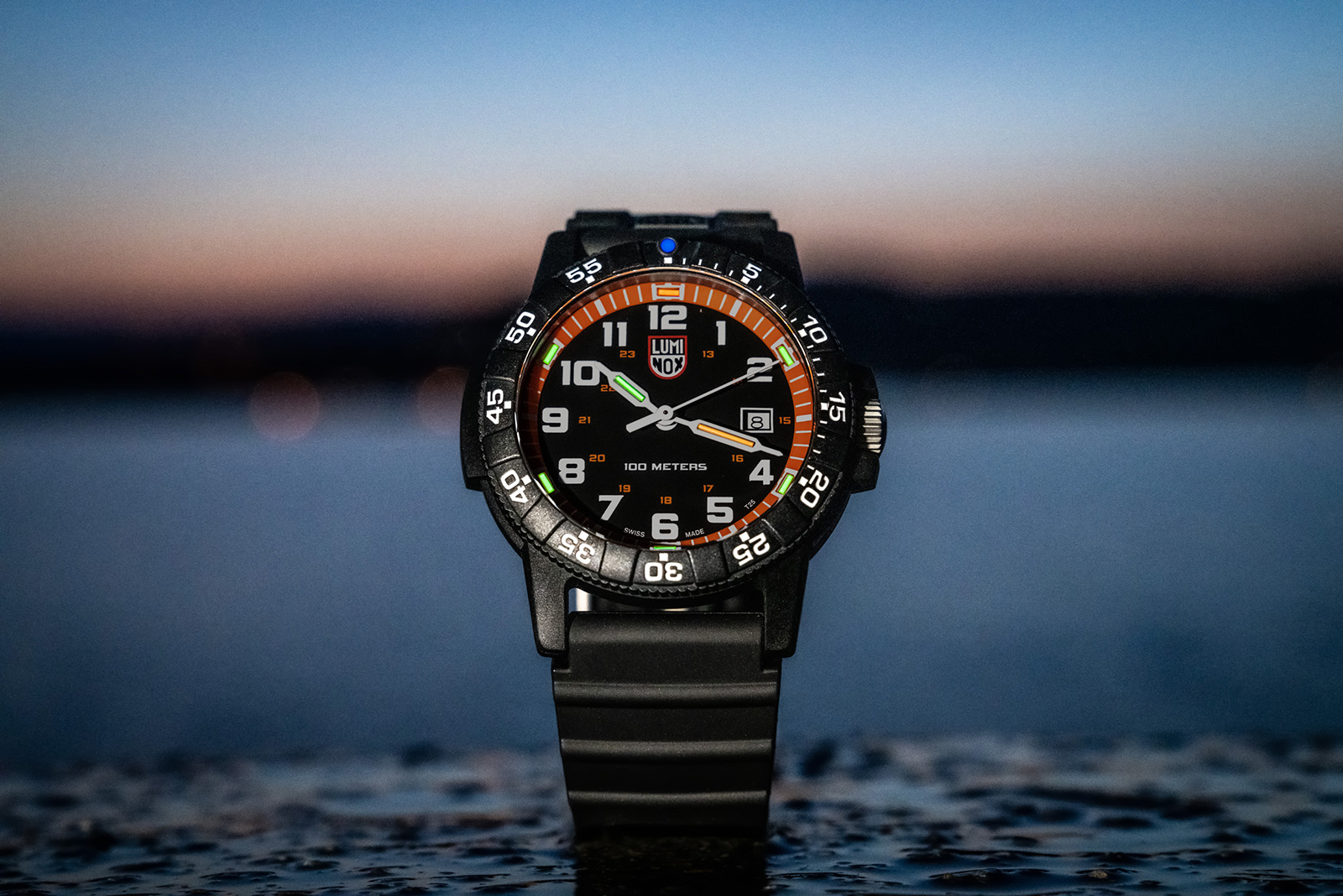 LEATHERBACK SEA TURTLE GIANT 0320 SERIES Ref.0329.1 | Luminox