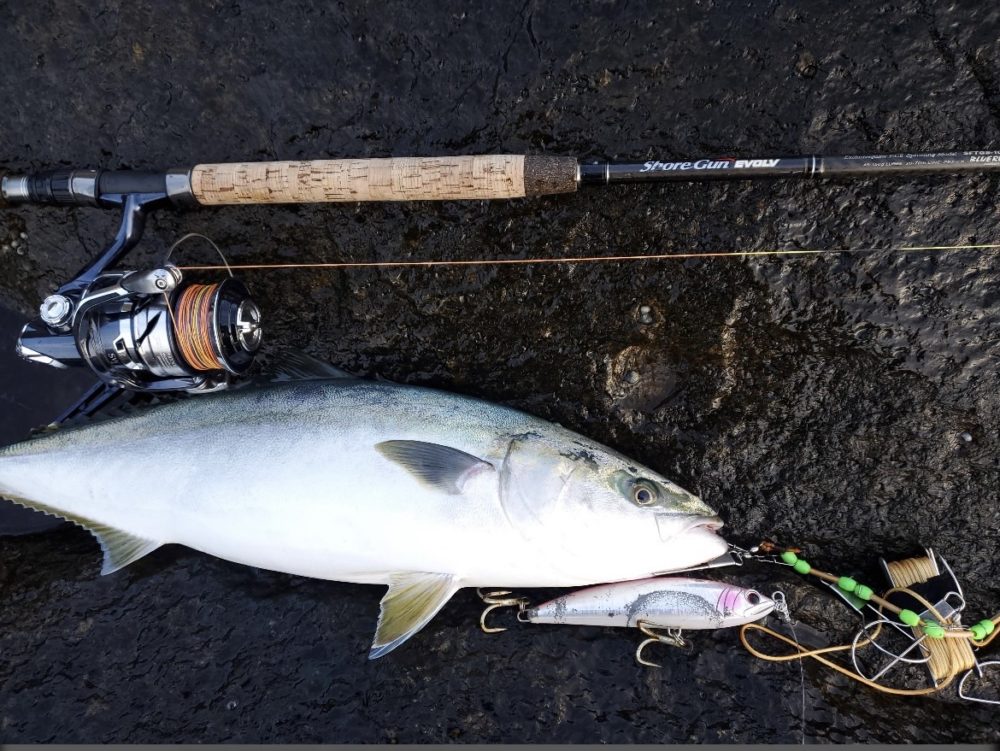 86ML/103XXXH]パームスのショアガンエボルブをインプレ！エギングと