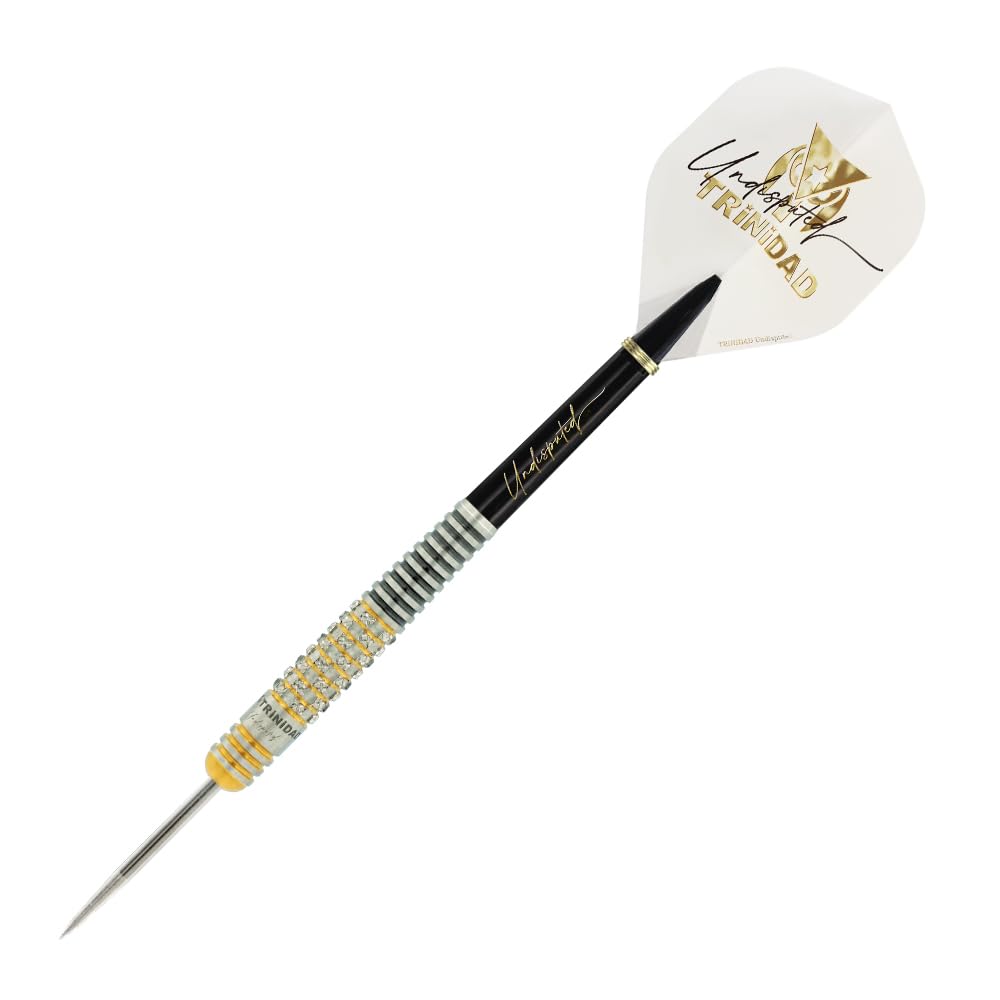 Amazon | トリニダード リカルドα 浅田斉吾モデル スティール