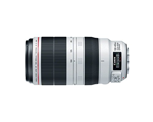 Amazon.com : Canon EF 100-400mm f/4.5-5.6L is II USM Lens, Lens
