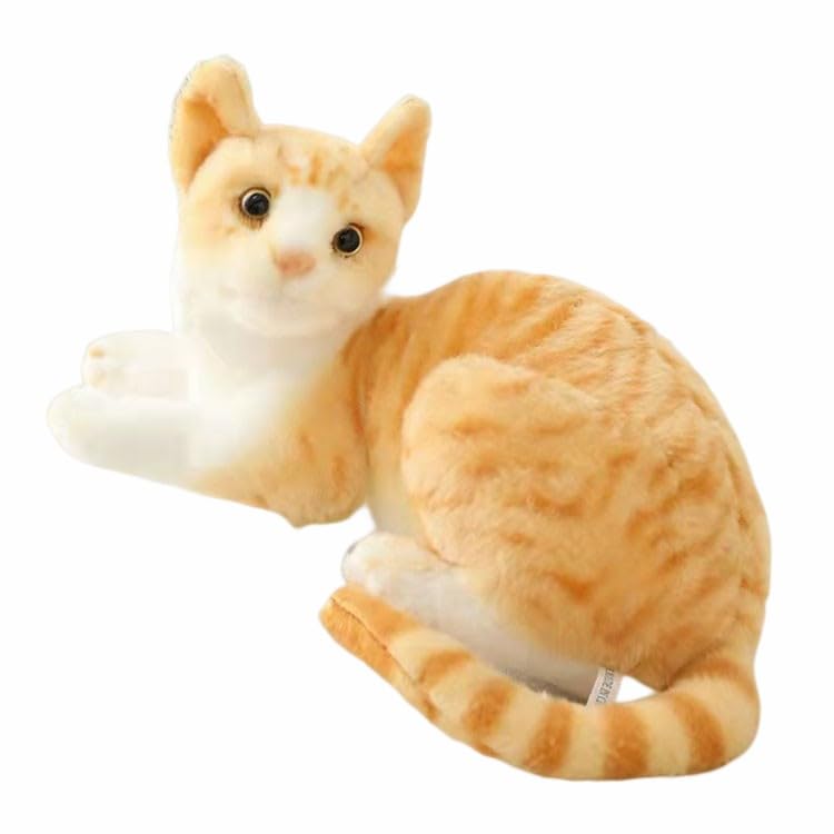 Amazon.co.jp: 猫 ぬいぐるみ リアル タヌキ猫 茶トラ猫 ペット ねこ