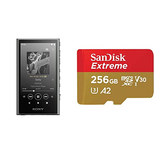 NW-A306 32GB / 256GB MicroSD+ケース2種+フィルム付 Amazon.co.jp
