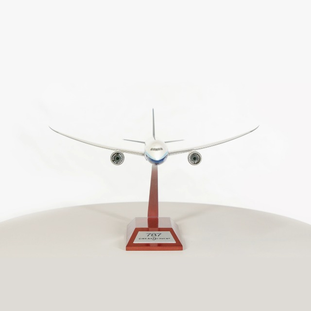 Amazon.com: Boeing Boeing Unified 787-10 Dreamliner 1:200 Plastic