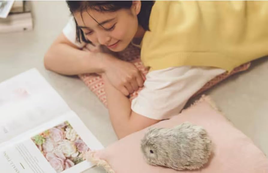 Amazon | カシオのAIペット moflin(モフリン) シルバー | ロボット