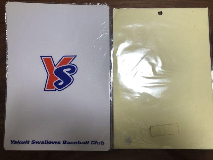 Amazon.co.jp: 東京ヤクルトスワローズ 城友博 下敷き シール : おもちゃ