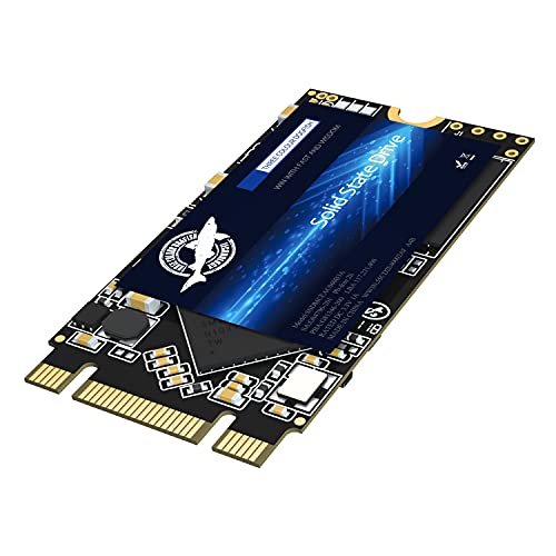 Amazon.co.jp: M.2 2242 Solid State Drive 500GB Ngff Dogfish 内蔵