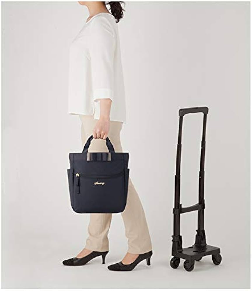 Amazon｜SWANY スワニー キャリーバッグ D-577 ルバンドミニIII TS15