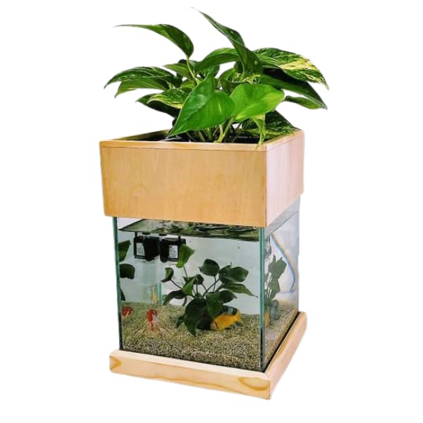 Amazon | せせらぎビオトープ 水替え不要【水槽セット】 20cm型【色