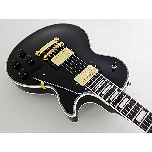 Amazon | フジゲン FUJIGEN NLC10RMP-BK/02 Neo Classic エレキギター