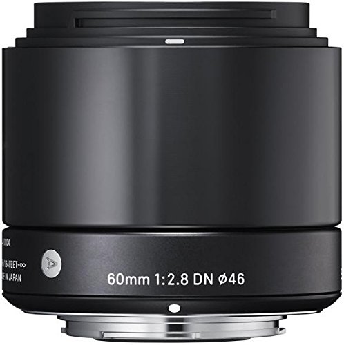 Amazon.com : Sigma 60mm F2.8 EX DN Art (Black) for Micro 4/3
