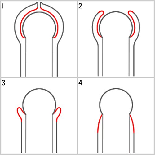 Amazon.co.jp: キトー君DX 3本セット : ドラッグストア