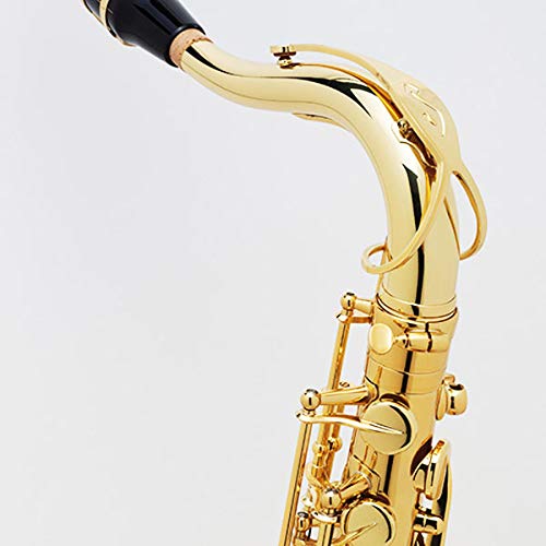 Amazon | H.Selmer/TENOR SAX AXOS セルマー テナーサックス アクソス
