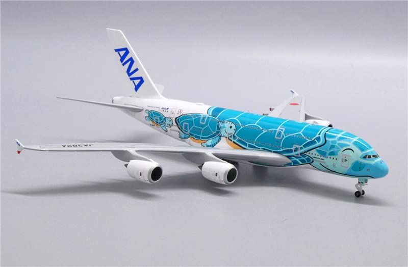 Amazon.com: JC Wings ANA Airlines for Airbus A380 JA382A Green Sea
