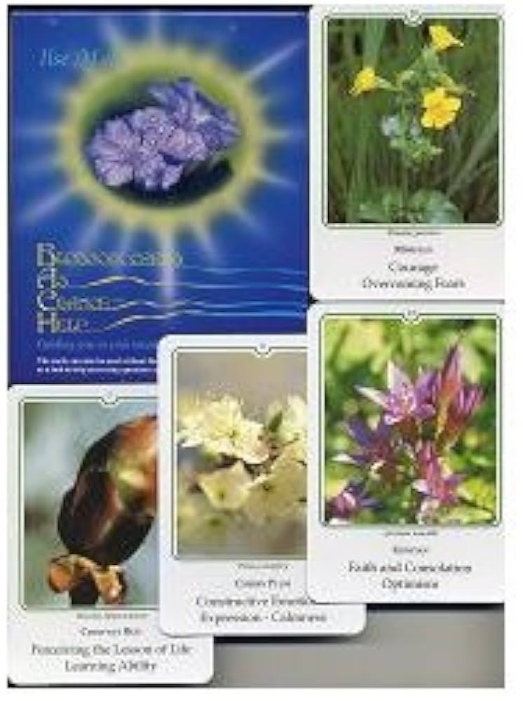 Amazon.co.jp: バッチフラワー 写真カードセット（38種）ドイツ語版