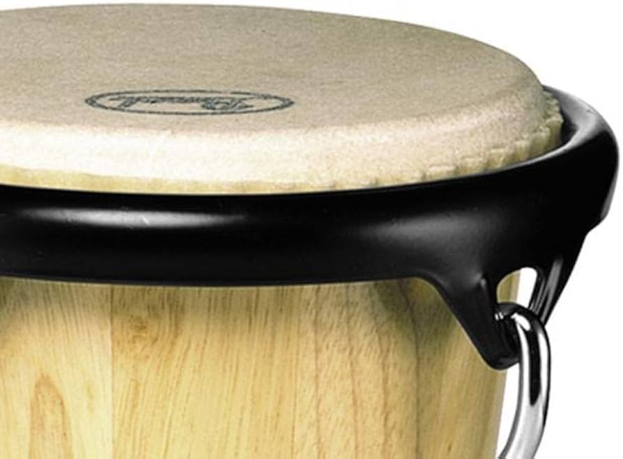 Amazon.co.jp: Pearl プリメーロ・ボンゴ PWB-100 : 楽器・音響機器