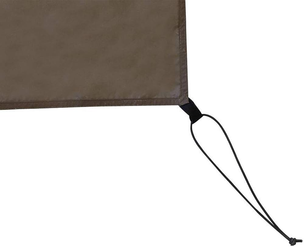 Amazon | スノーピーク(snow peak) アメニティドームLマットシート