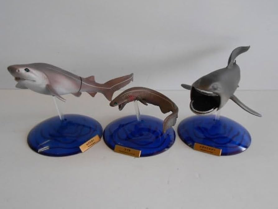 Amazon | ♯Jxi01LT深海の巨大生物NHKスペシャル謎の海底サメ王国人気3