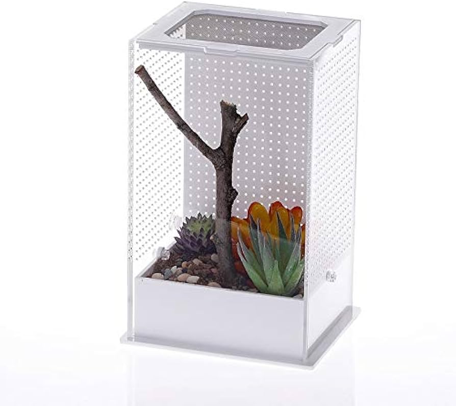 Amazon.co.jp: 虫かご 昆虫飼育箱 小 プラスチックカマキリ