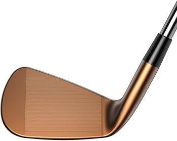 Amazon.co.jp: コブラ（Cobra） アイアンセット メンズ 6本 キング