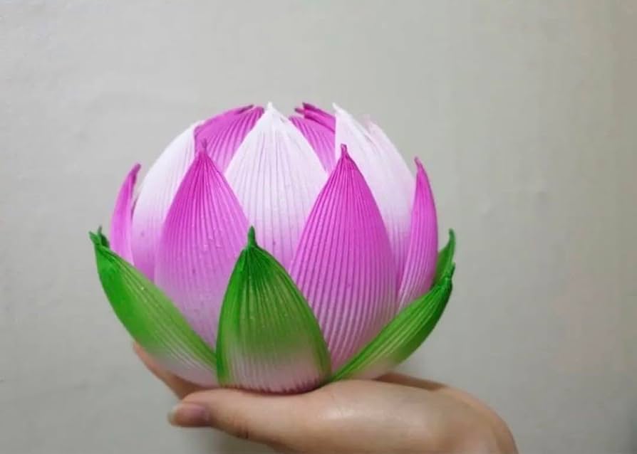 Amazon.co.jp: 入手困難 蓮の花紙 蓮紙 蓮ワーク 8色、計24束 : ホーム