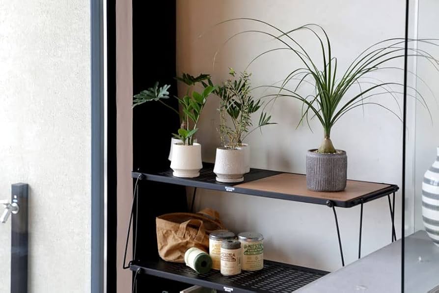 Amazon.co.jp: Hang out ハングアウト Stera Stacking Table(combi