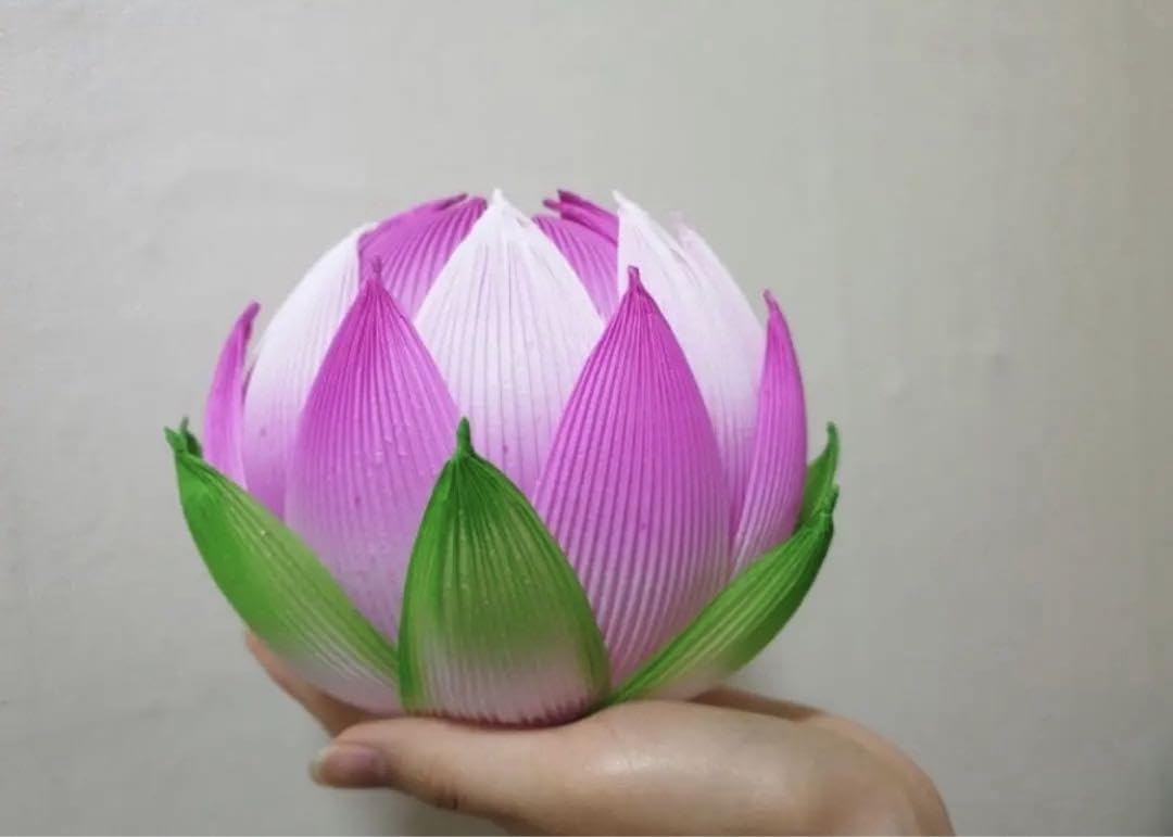 Amazon.co.jp: 入手困難 蓮の花紙 蓮紙 蓮ワーク 8色、計24束 : ホーム