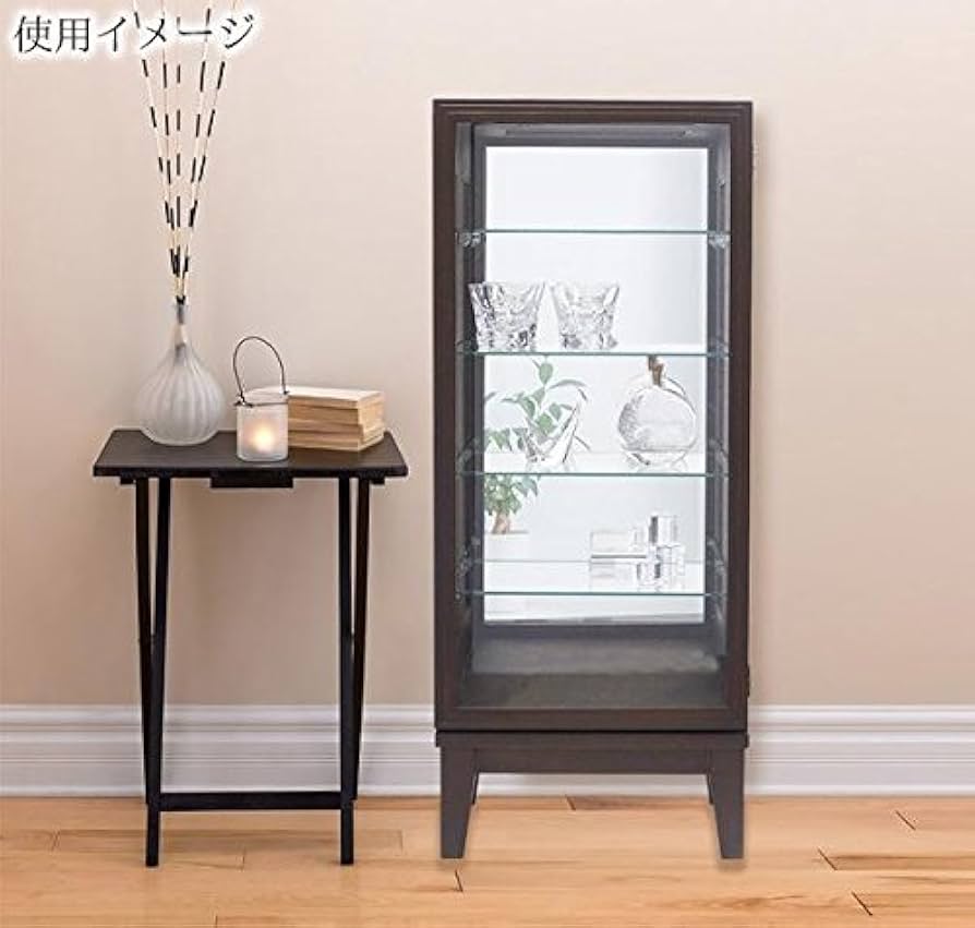 Amazon | 塩川光明堂 コレクションケース カルトーネ スカーラ 1000