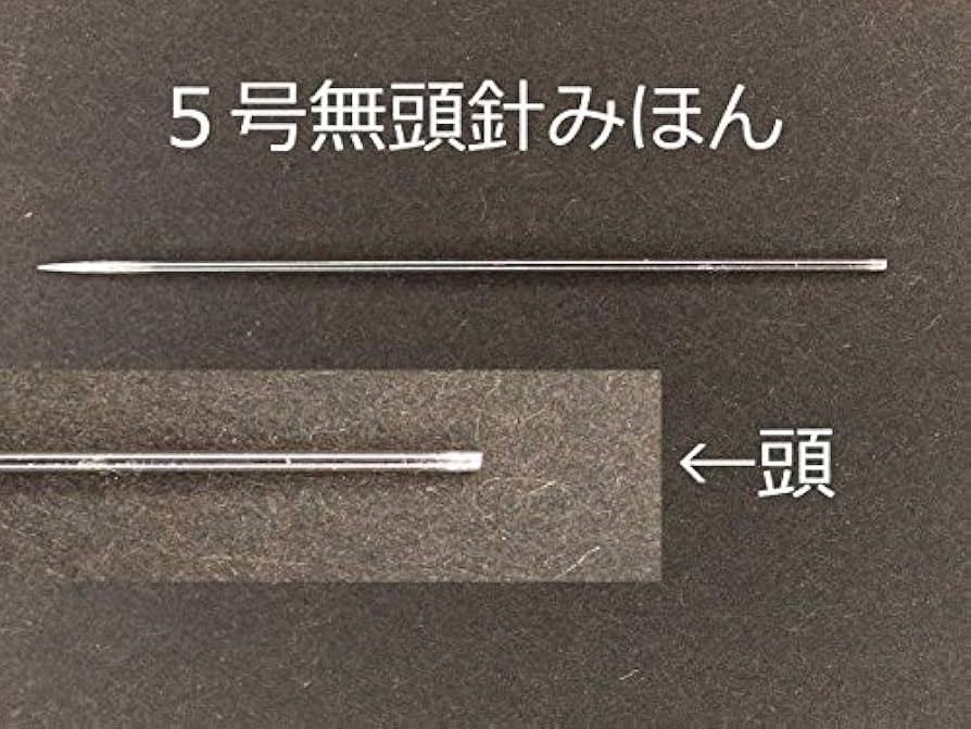 Amazon | 【無頭】 志賀昆虫針 (0号) | 生態・採集 | おもちゃ