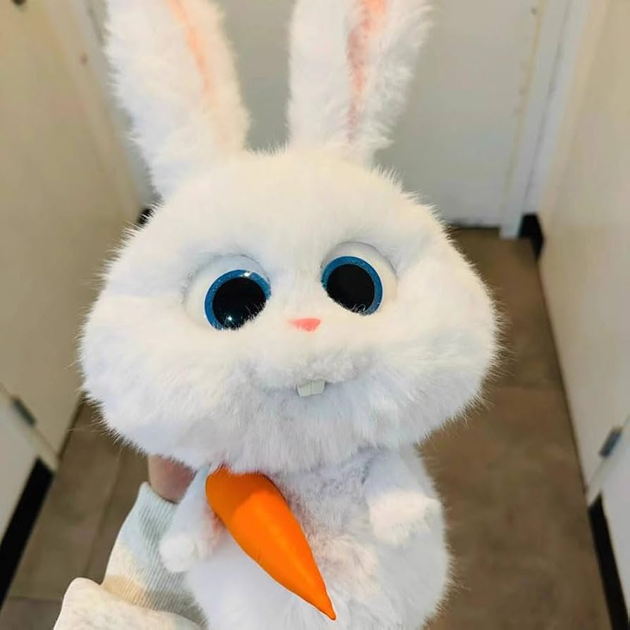 Amazon.co.jp: [Hushan] ニンジンを持つ ウサギ ぬいぐるみ 非公式