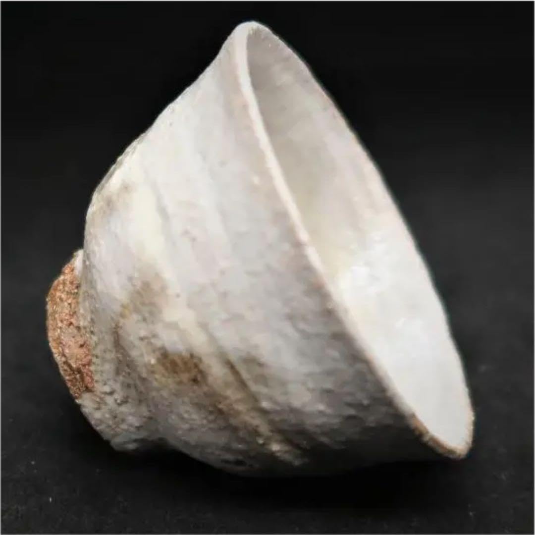 Amazon.co.jp: ぐい呑み（酒杯／お猪口）作家物 久岡冬彦作 奈良県