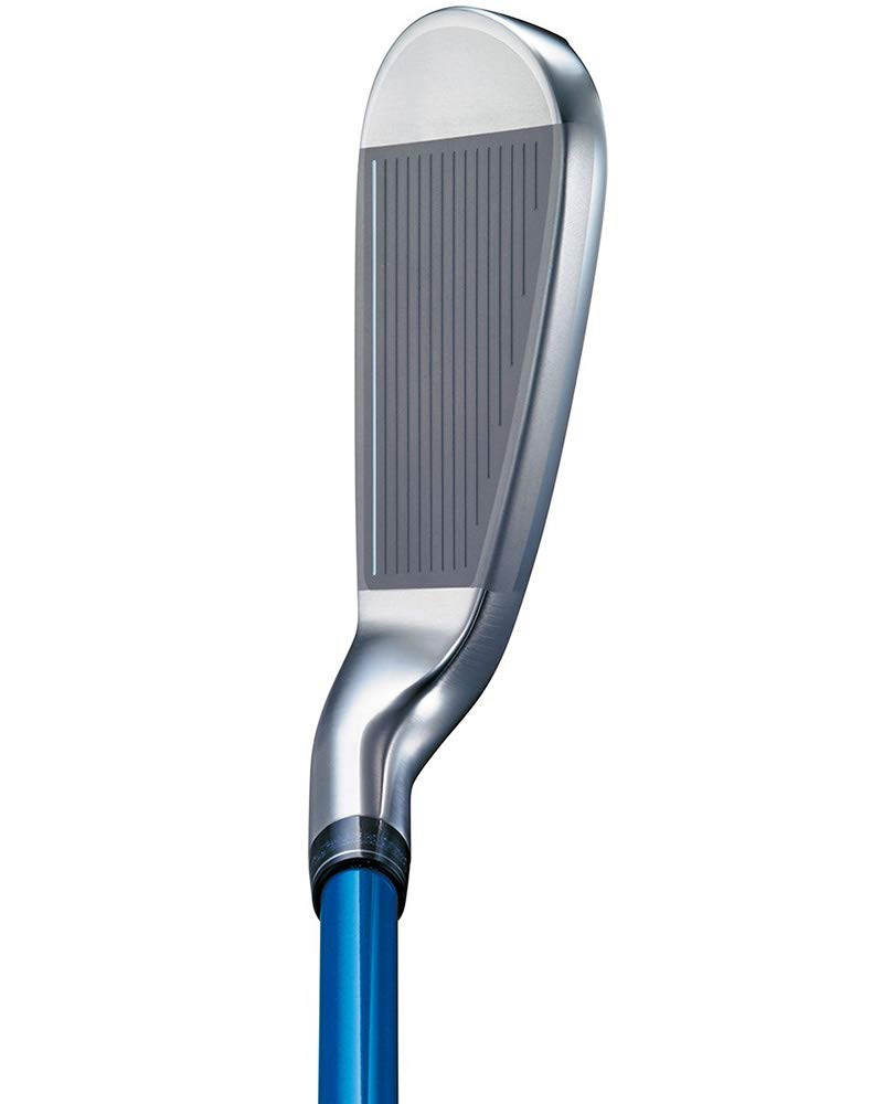 ゼクシオ11 XXIO 10本セット L 特典あり 楽天市場】ゼクシオ11 フル