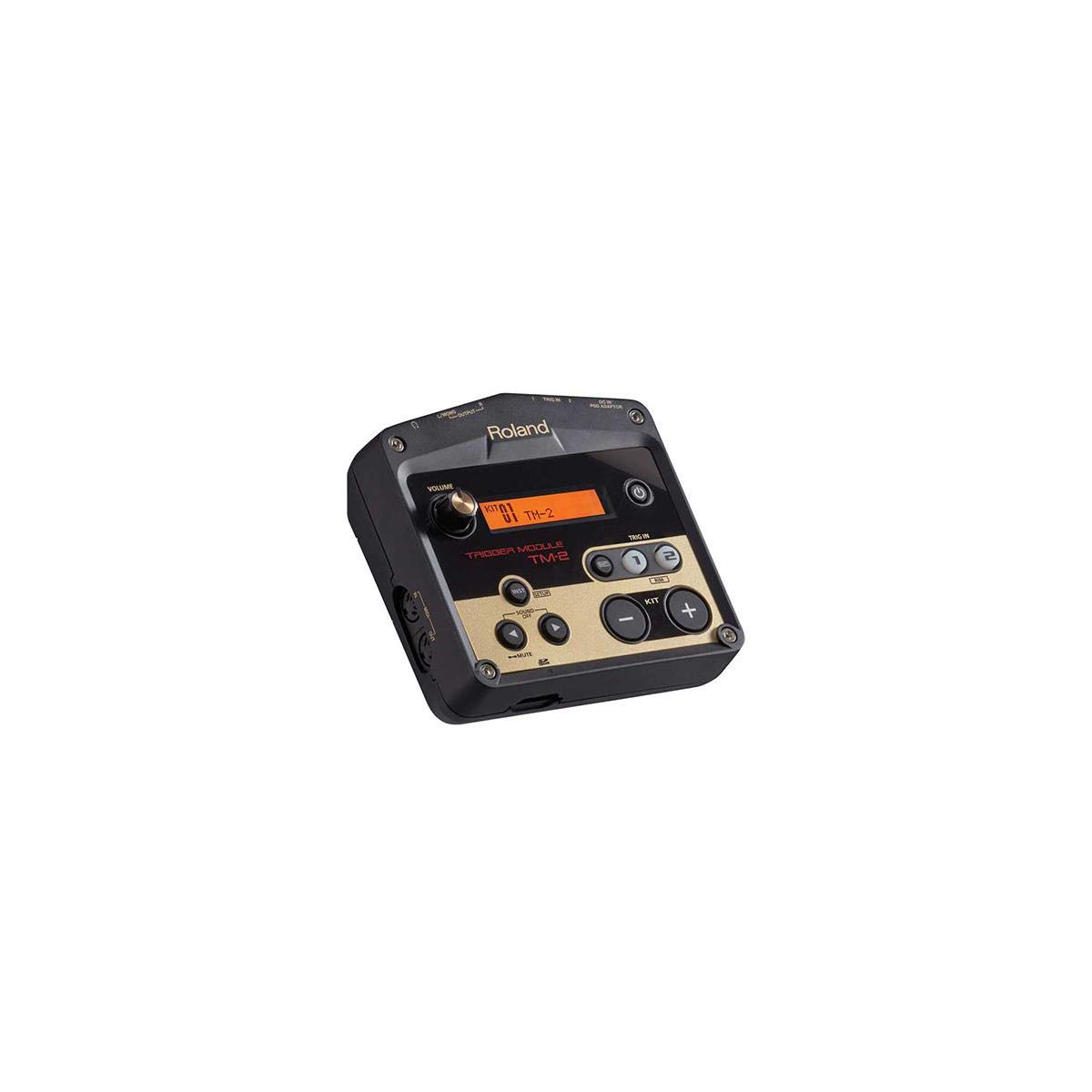 Amazon.com: Roland TM-2 Acoustic Drum Trigger Module : Everything Else