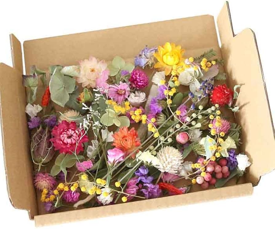 Amazon | ノーブランド品 ドライフラワー詰め合わせ 花材セット MIX