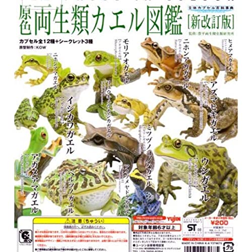 Amazon | 原色両生類カエル図鑑 新改訂版 全種 | カプセル玩具 | おもちゃ