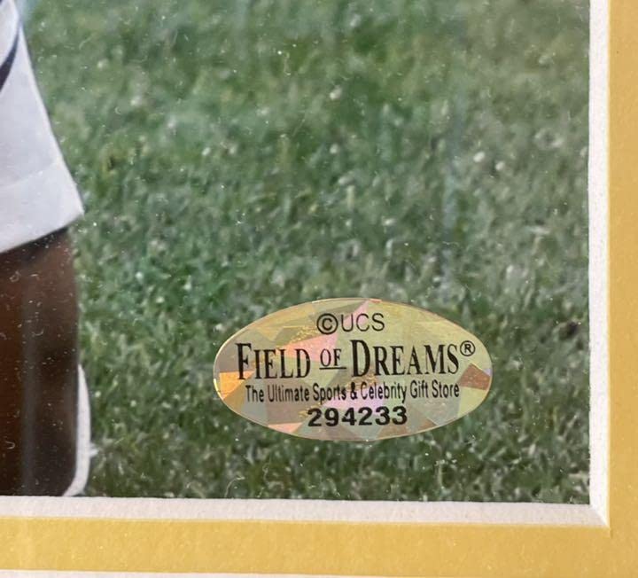 Amazon.co.jp: ネイマール直筆サイン入りブラジル代表写真貴重な木枠縁