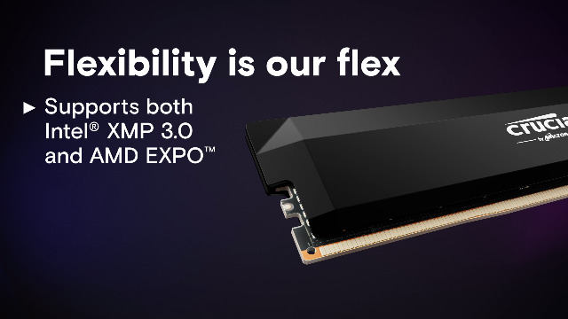 Crucial Pro 32GB DDR5 RAM Kit (2x16GB),CL36 6000MHz, Overclocking