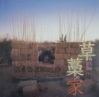 51tQ8-tVuFL._AC_UF350,