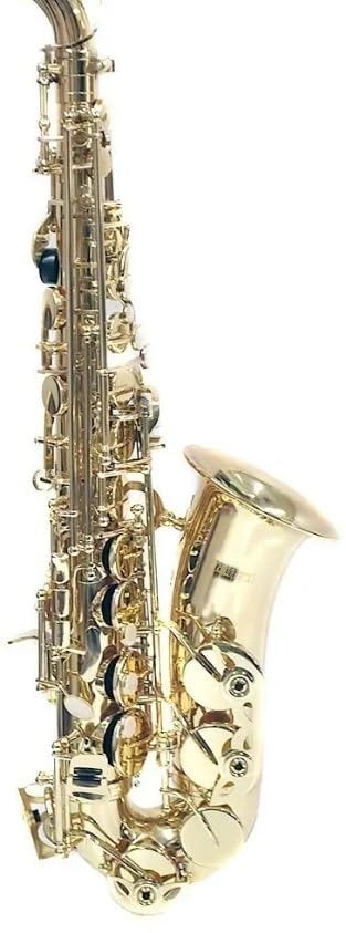Amazon | アルトサックス | サックス | 楽器・音響機器