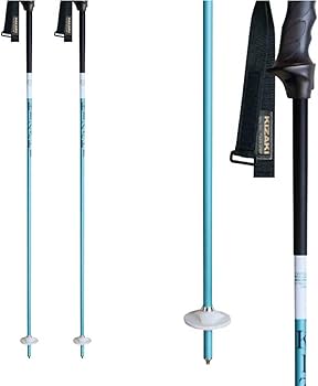 Amazon | KIZAKI キザキ スキー ポール ストック GSカーボン 2025