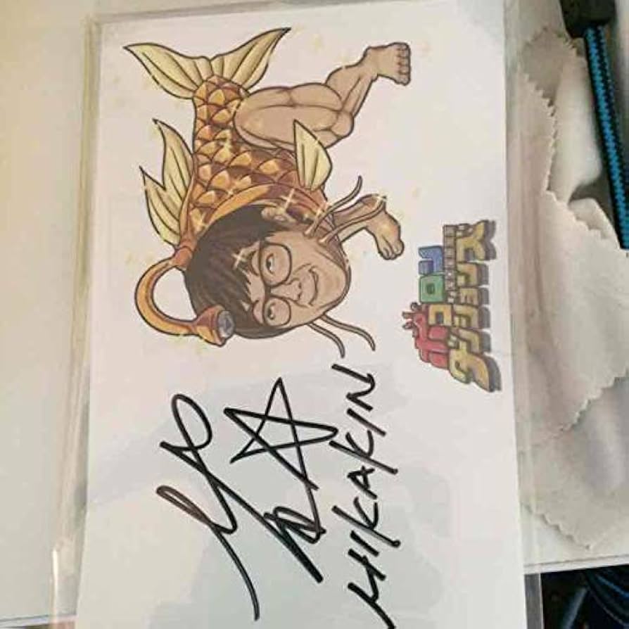 Amazon.co.jp: HIKAKIN直筆サイン : スポーツ＆アウトドア