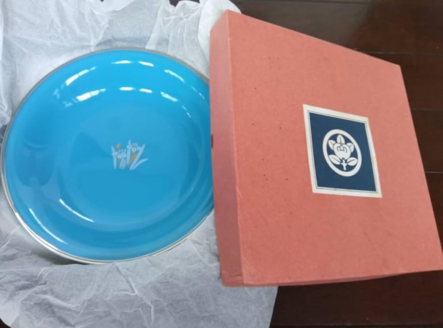 Amazon.co.jp: たち吉ターコイズブルーカレー皿5枚セット5種類レトロ