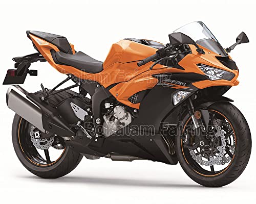 Amazon | ZX-6R用 2019 2020 2021 2022 ZX6R 636 ZX636 20 21 オレンジ