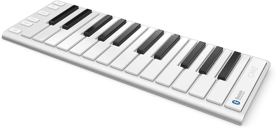 Amazon.com: Xkey 25 Air Bluetooth MIDI Keyboard - Apple-Style