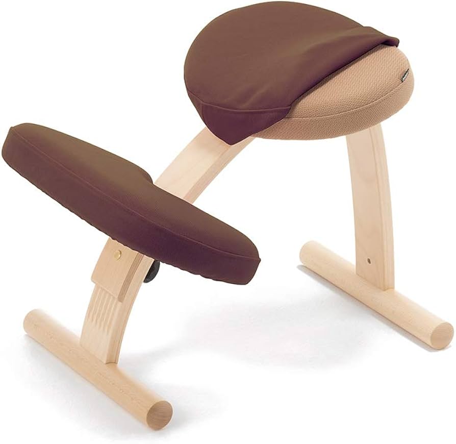 カバー付き サカモトハウス バランスチェア イージー バランスラボ