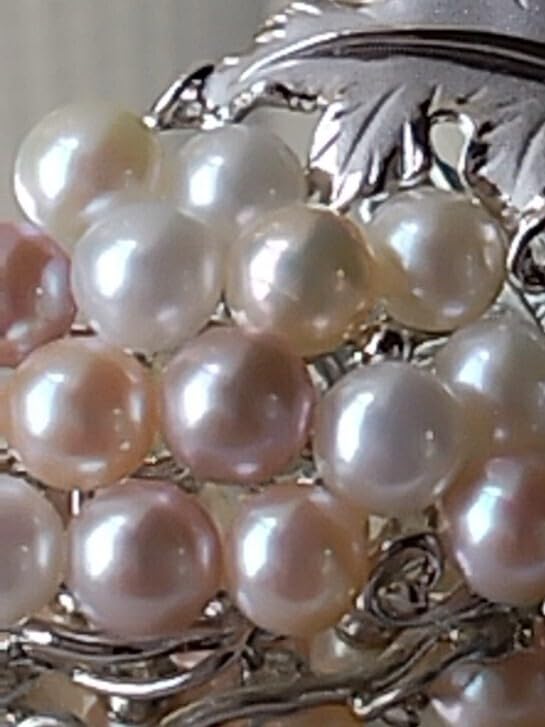 Amazon.co.jp: マルチカラー艷やか本真珠16珠 シルバーリーフぶどう