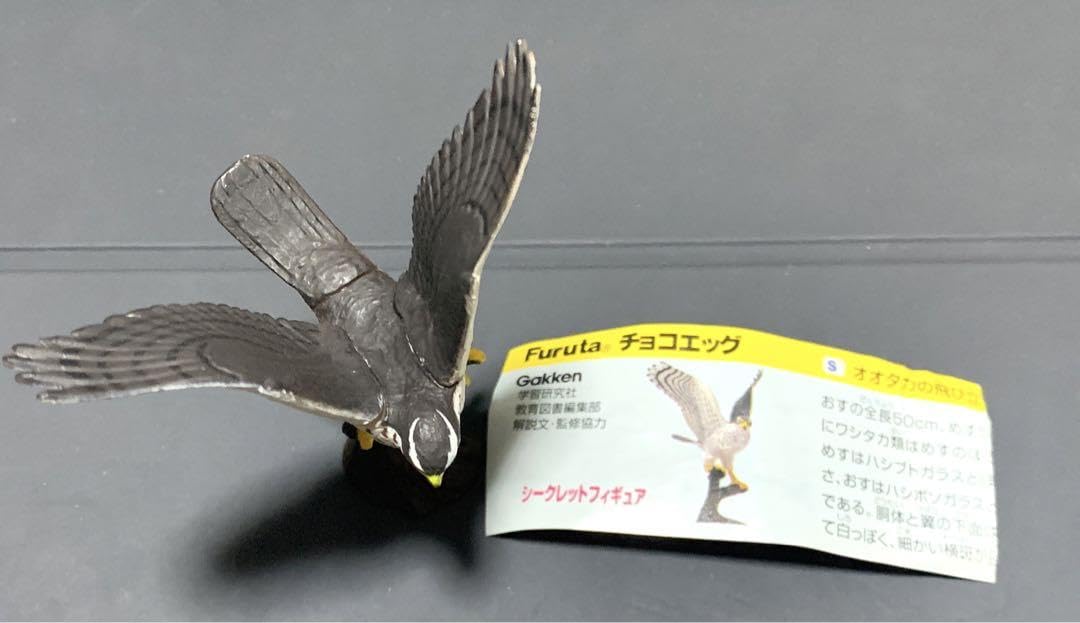 チョコエッグ鳥編 チョコエッグ 鳥編 シークレット含む