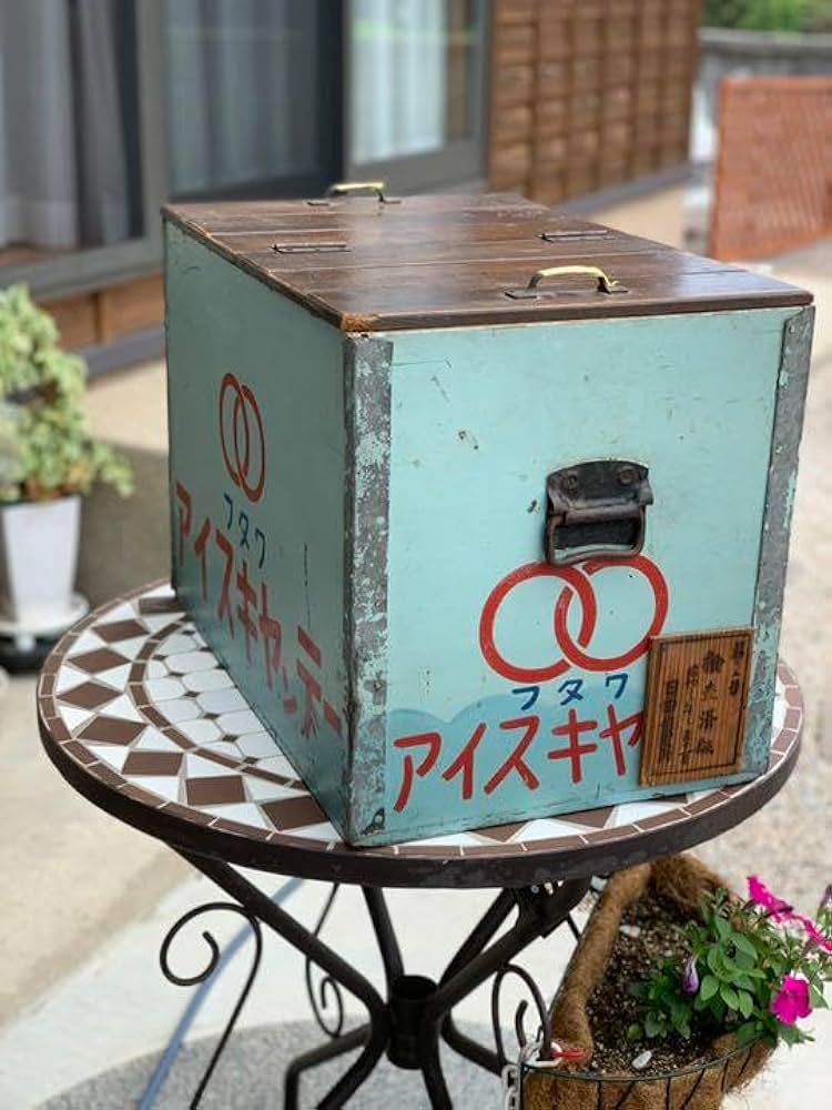 Amazon.co.jp: ボテ箱 行李 カブリアボックス レトロ ヴィンテージ